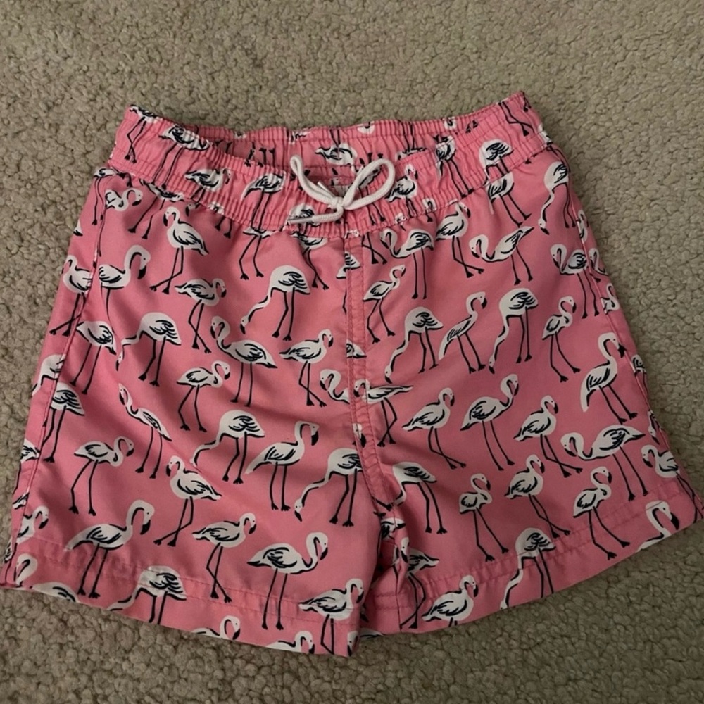 Pink Flamingo Print trunks